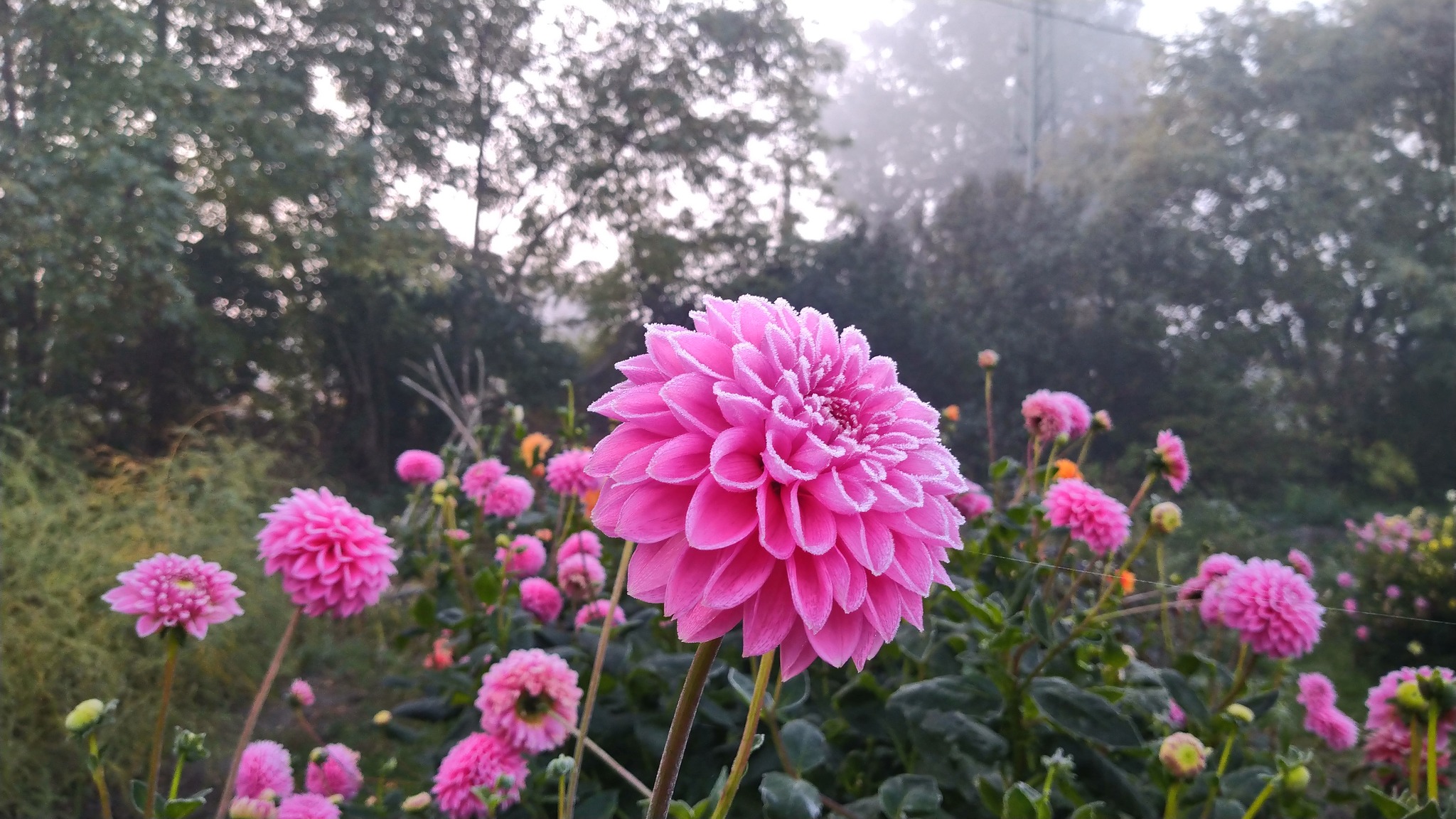 header_bg.jpg